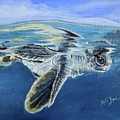 Hatchling