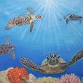 Florida Sea Turtles