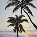 Island Palms