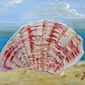 Scallop Shell In The Sand